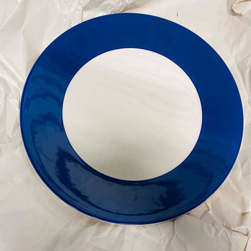 8 - 10 5/8” Williams Sonoma Dinner Plate Passano Blue in Excellent Condition